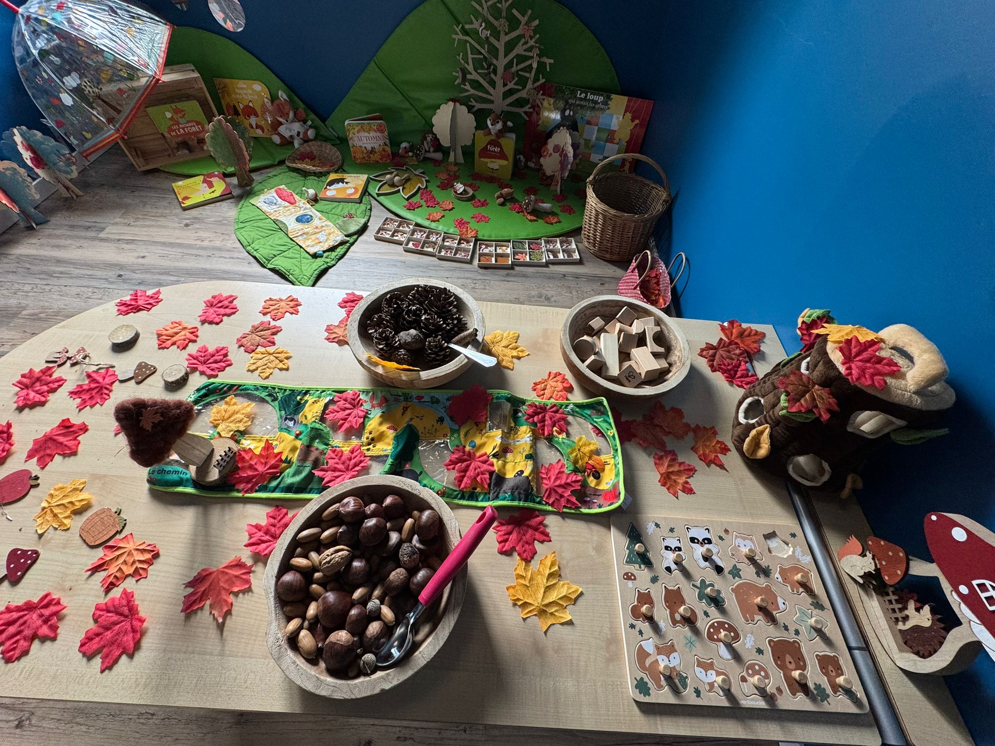 Douceur d'Automne 🍂