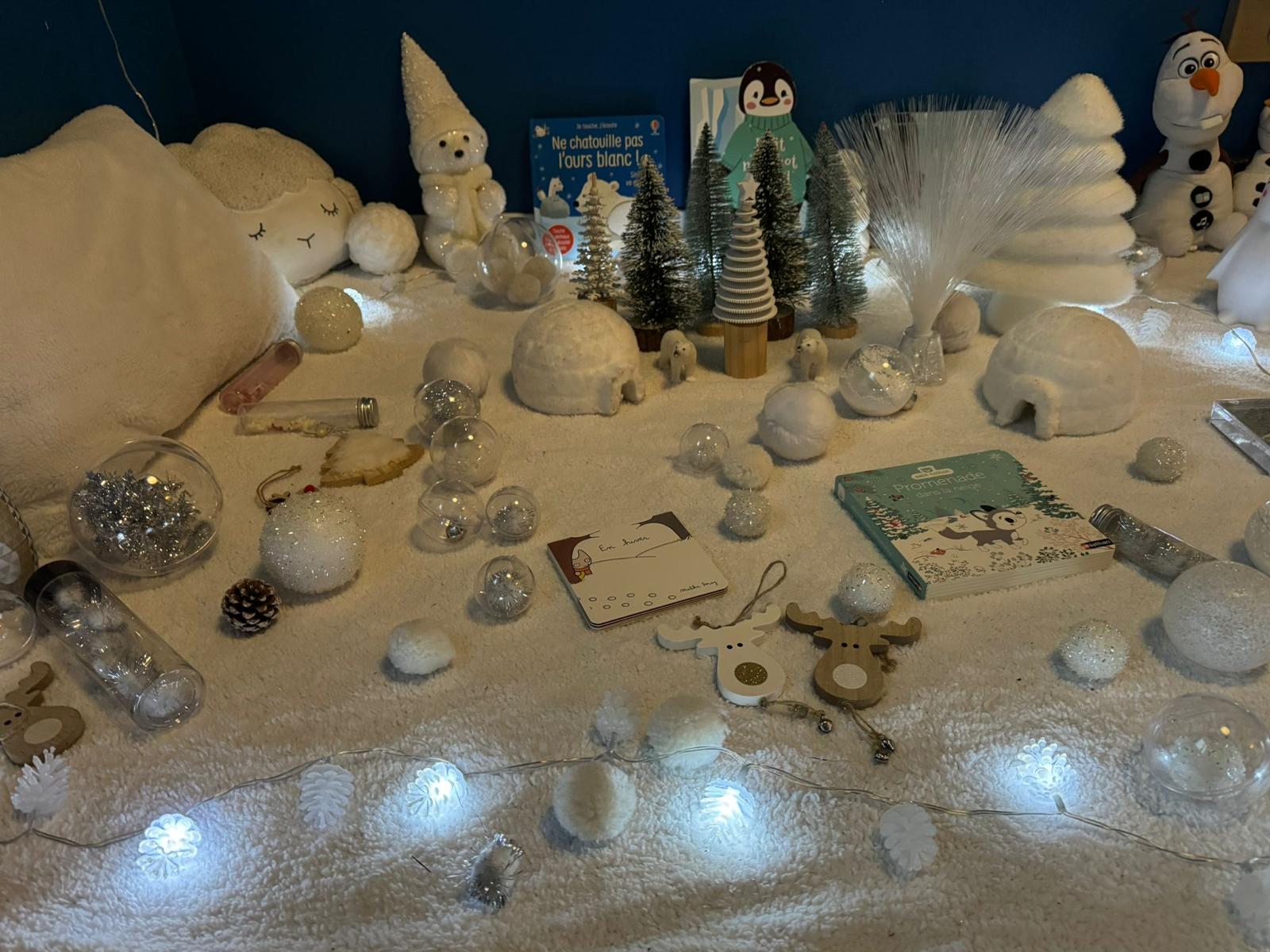 Magie d'Hiver ❄️