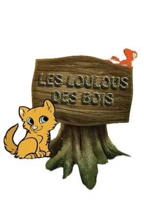 Bienvenue aux Loulous des Bois - Crèche Loir-et-Cher